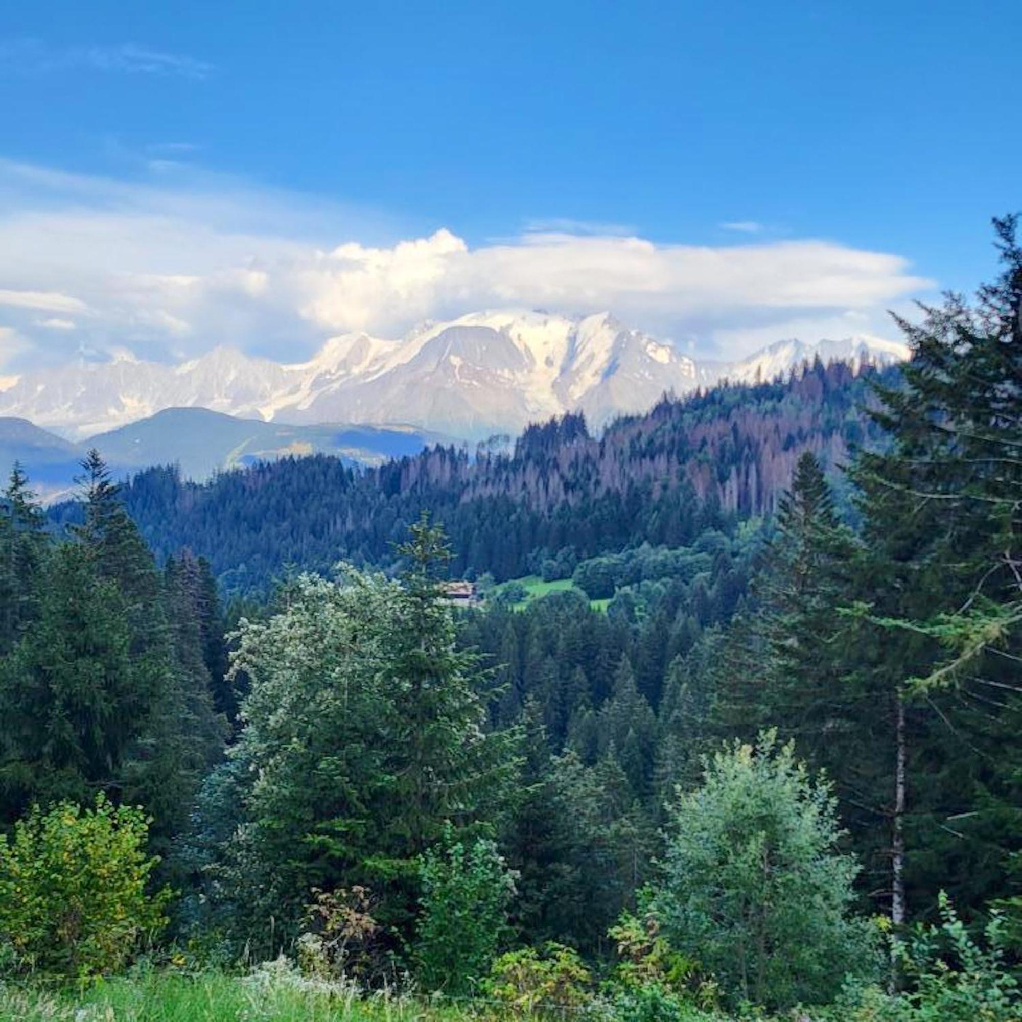 Studio Accueillant A Cordon Vue Mont Blanc 22 M² Parking Inclus Esterno foto